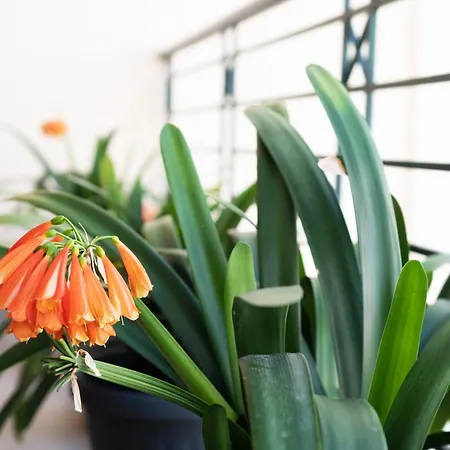 όμορφο διαμέρισμα!200 μετρα από τη θάλασσα! *