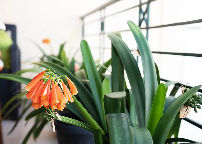 όμορφο διαμέρισμα!200 μετρα από τη θάλασσα! *